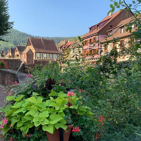 Studio Cosy Kaysersberg Centre 외부 사진