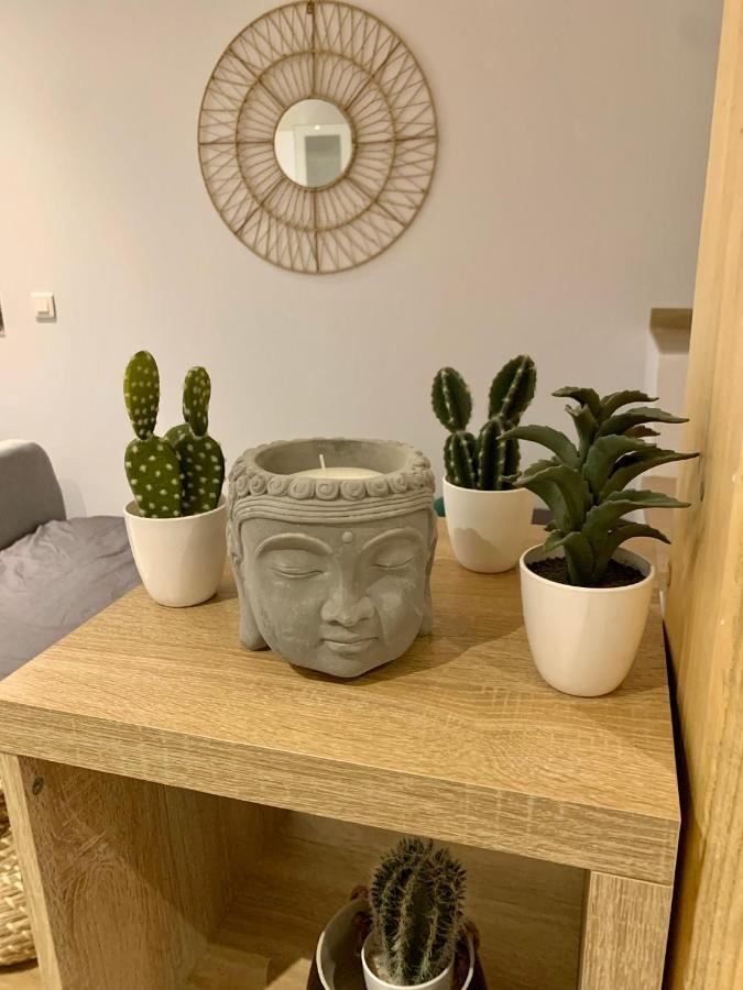 Studio Cosy Kaysersberg Centre 외부 사진