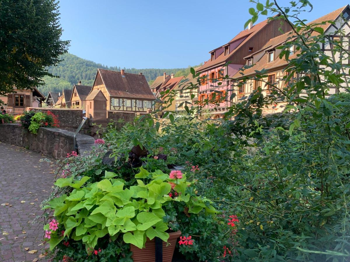 Studio Cosy Kaysersberg Centre 외부 사진