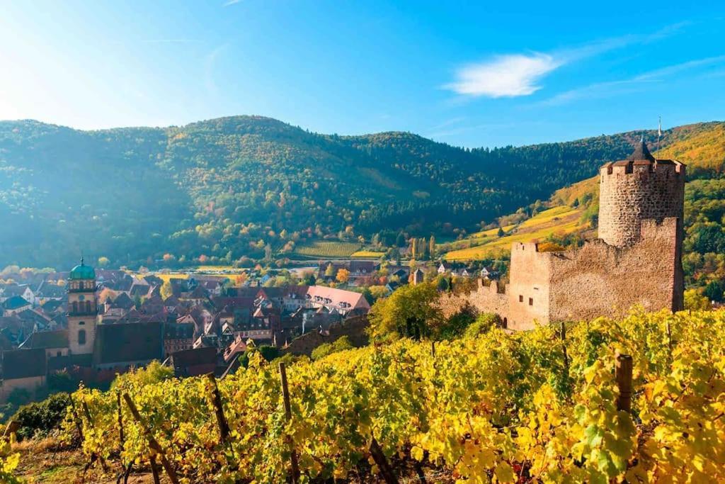 Studio Cosy Kaysersberg Centre 외부 사진
