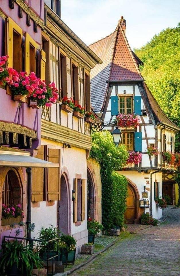 Studio Cosy Kaysersberg Centre 외부 사진